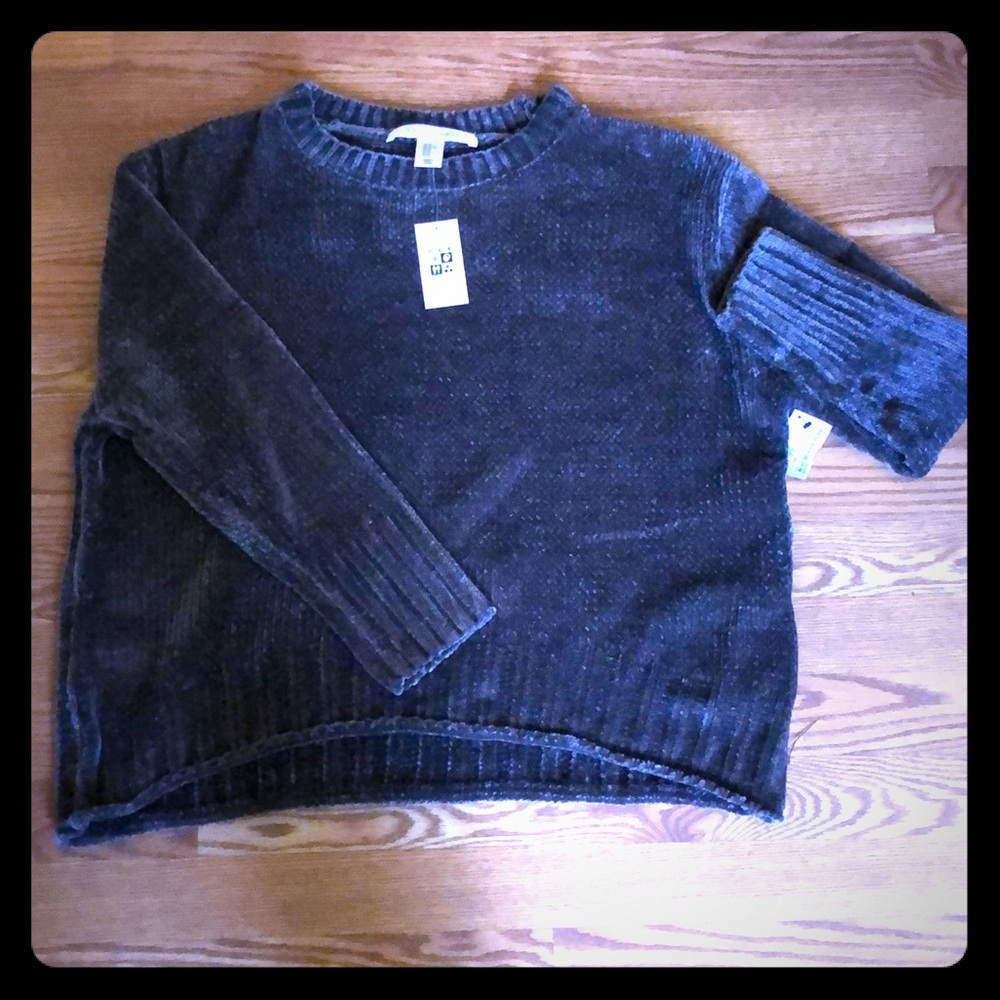 Max Studio Sweater